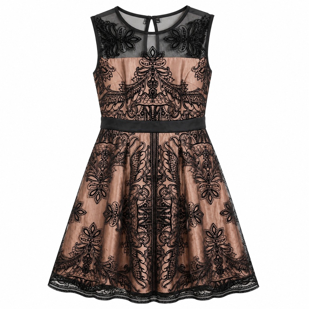 Dark Romantic Gothic Velvet Burnout Lace Dress Women Size 6 Coquette Noir Whimsy